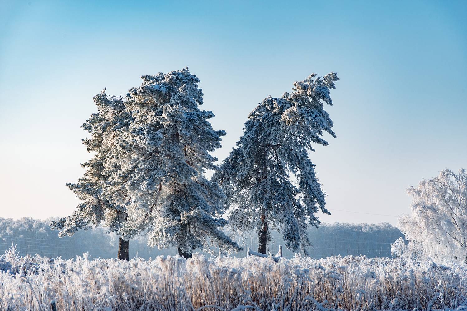 , Владимир Ноздрачев
