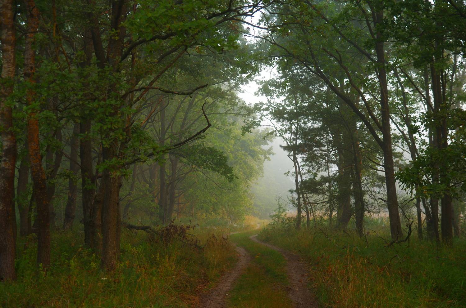 , Шляга Сергей