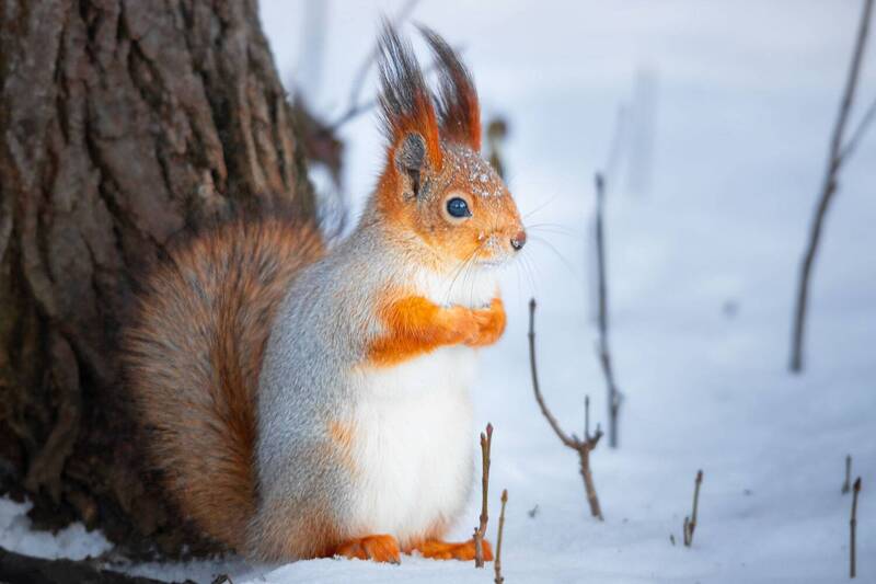Морозно??❄ фото превью