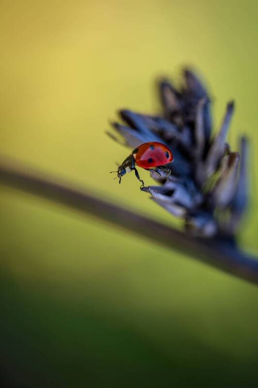 Я доберусь...photo preview