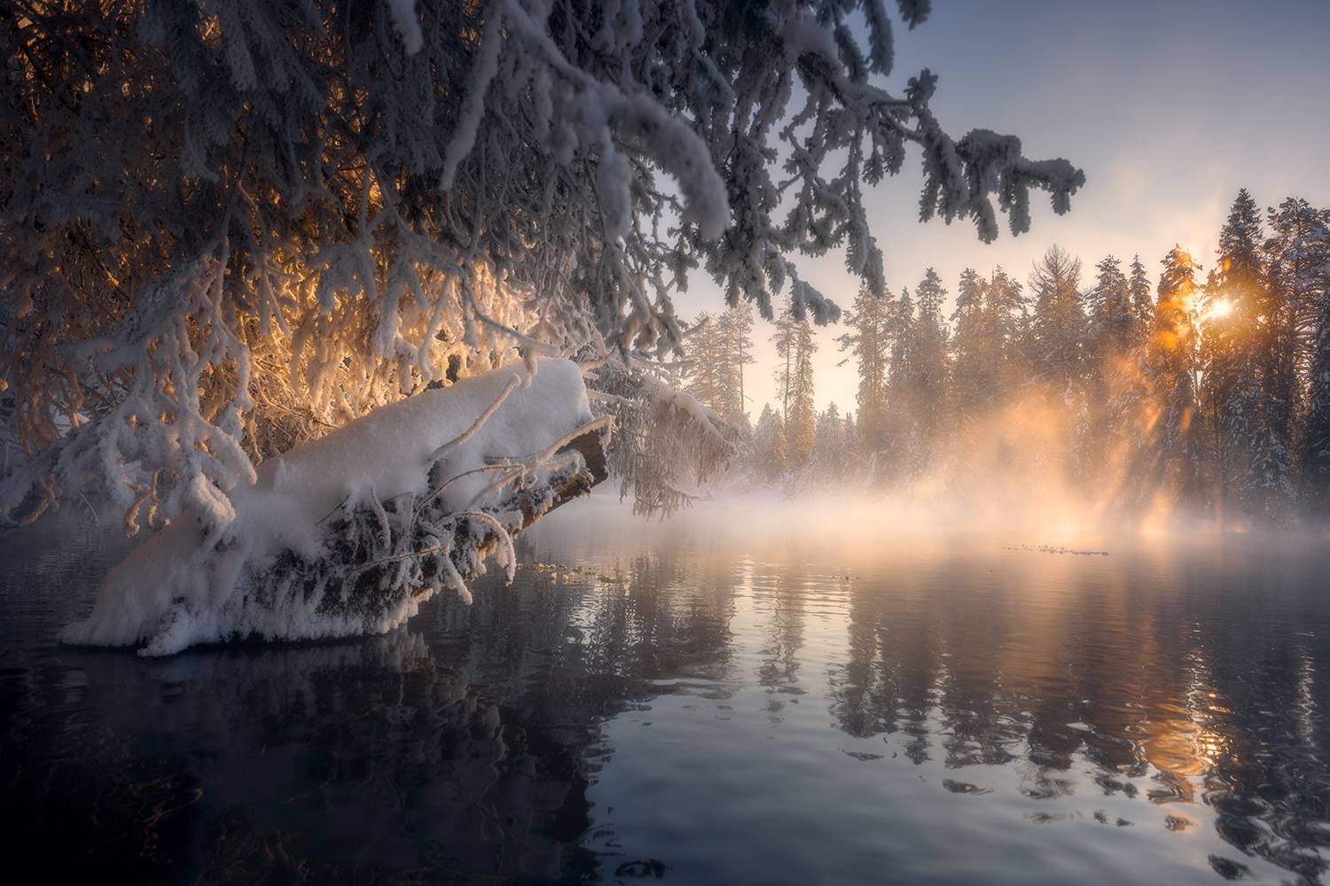 зима, снег, иней, вода, озеро, солнце, туман, мороз, Сергей Буторин