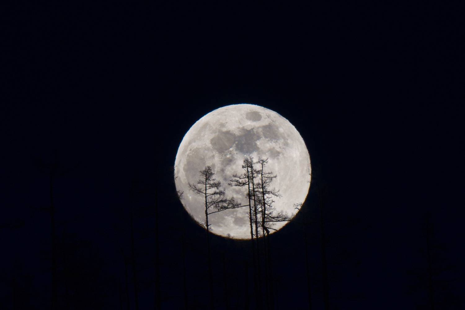 , Большаков Алексей