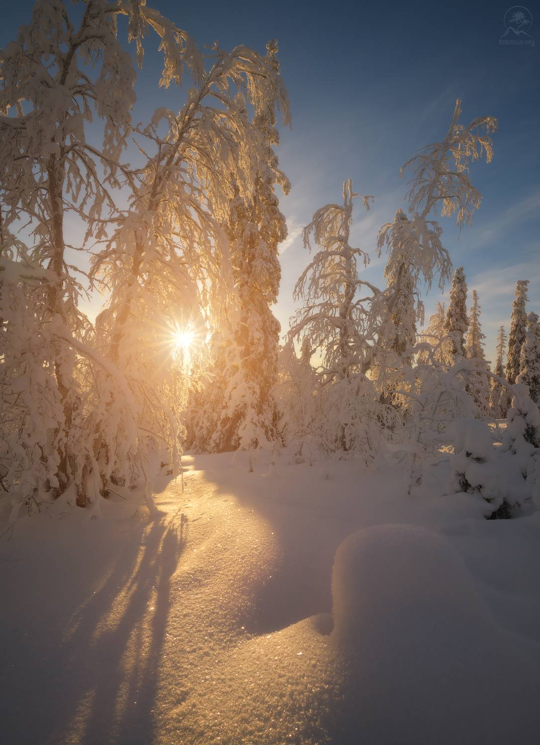 кольский, зима, фототур на кольский, мурманская область, лес, зимний кольский, заполярье, хибины, Гордиенко Анатолий