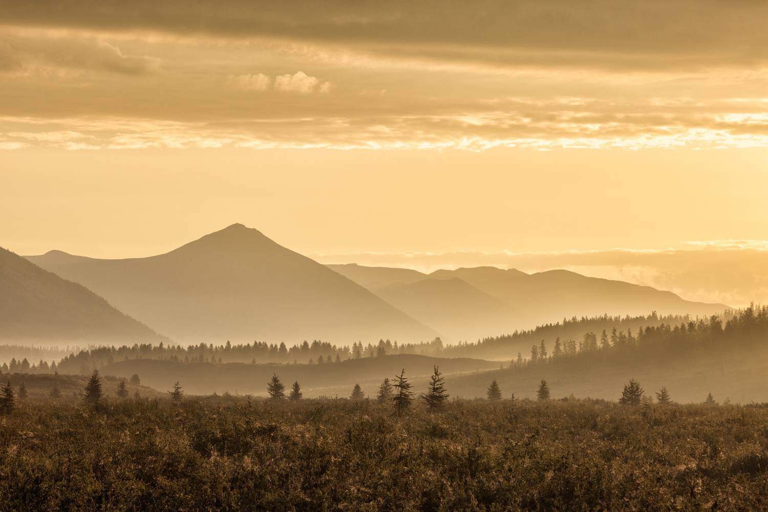 озеро ильчир, бурятия, окинский район, туман, рассвет, горы, Виктор Калинский