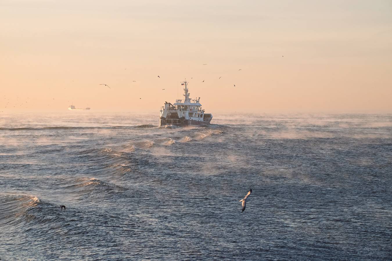 , Олег Иванов