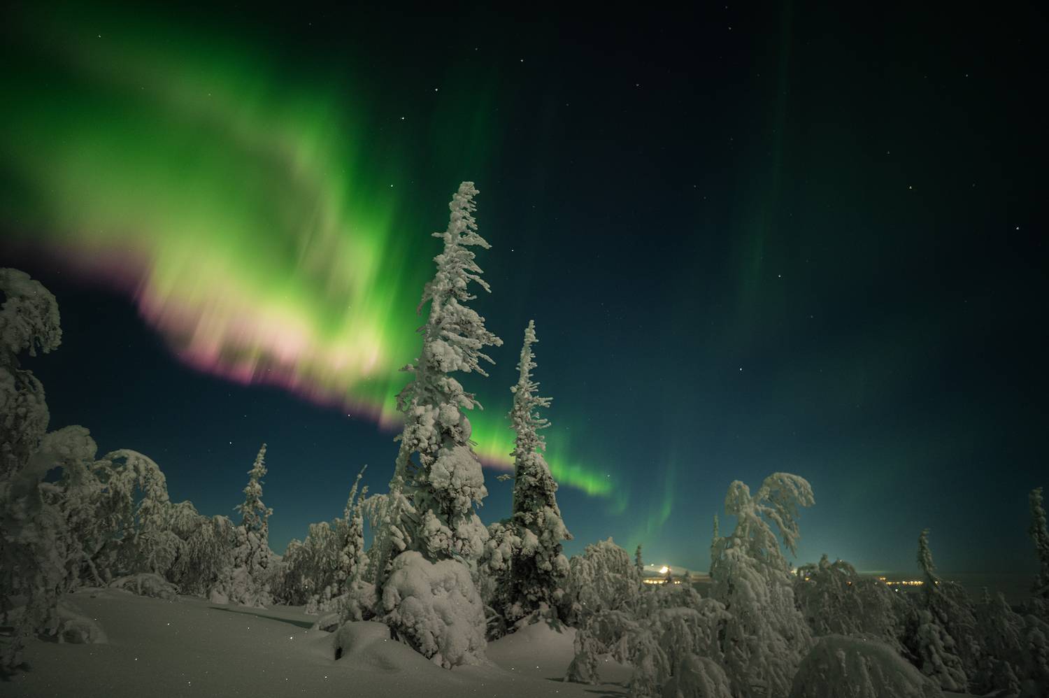 , Ян Сурогин