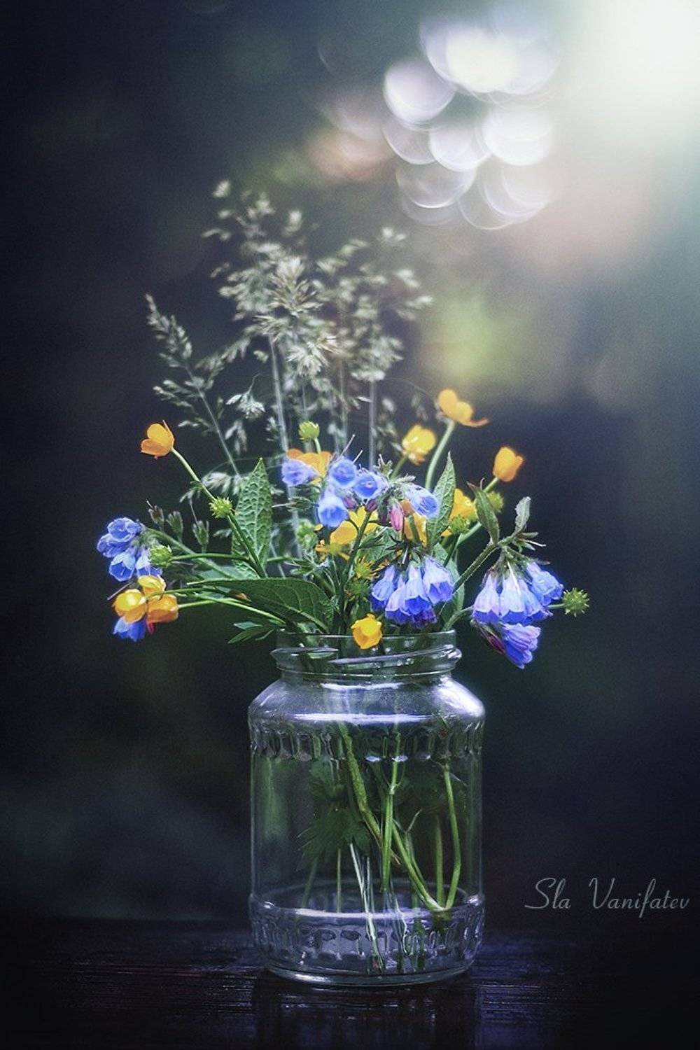 ***. Автор: Вячеслав Ванифатьев , Вячеслав Ванифатьев