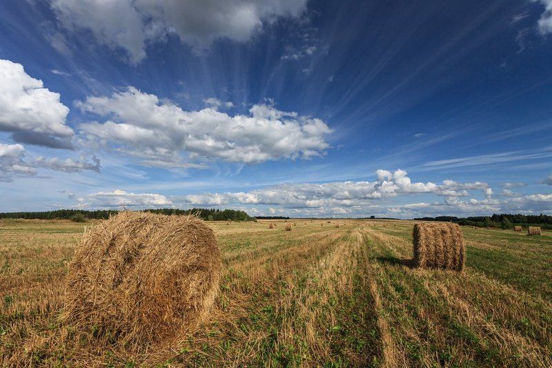 Поле трава сено рулоны лес облака лето Облачные следыphoto preview