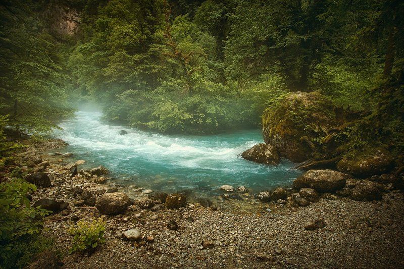 Абхазия, Рица, Бзыпь, река, течение, камни, горы, лес, туман Горная рекаphoto preview