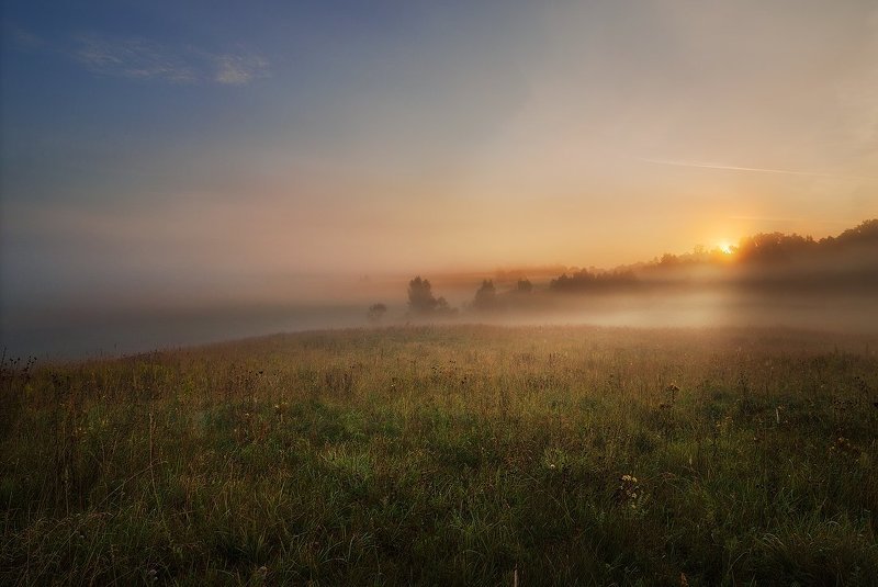 sunrise, morning, mist, summer, meadow, light Misty meadowphoto preview