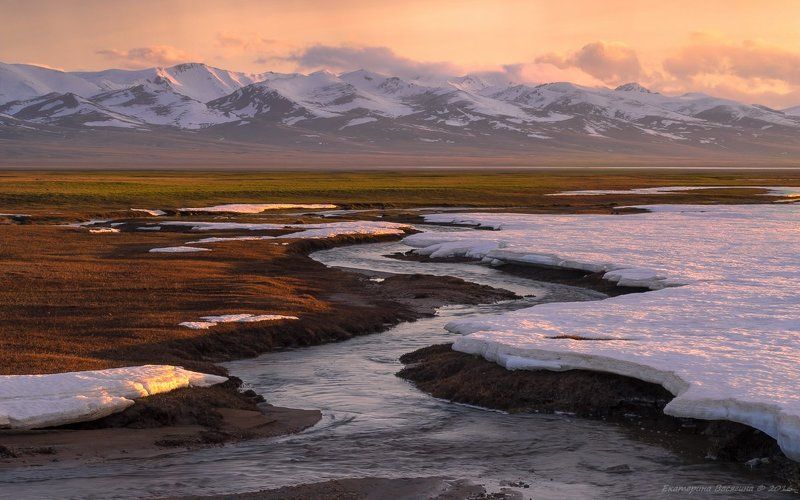 киргизия, май Киргизское высокогорье... фото превью