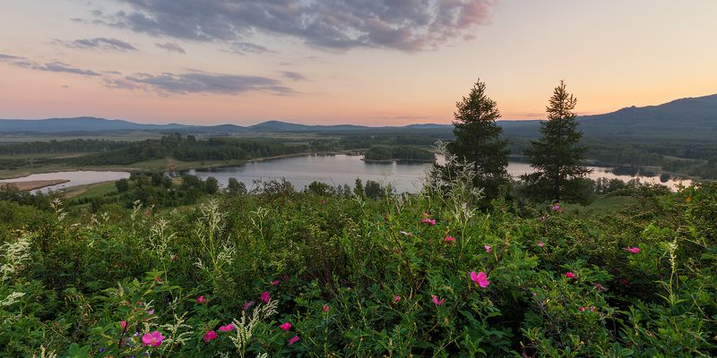 Вечерний букетphoto preview