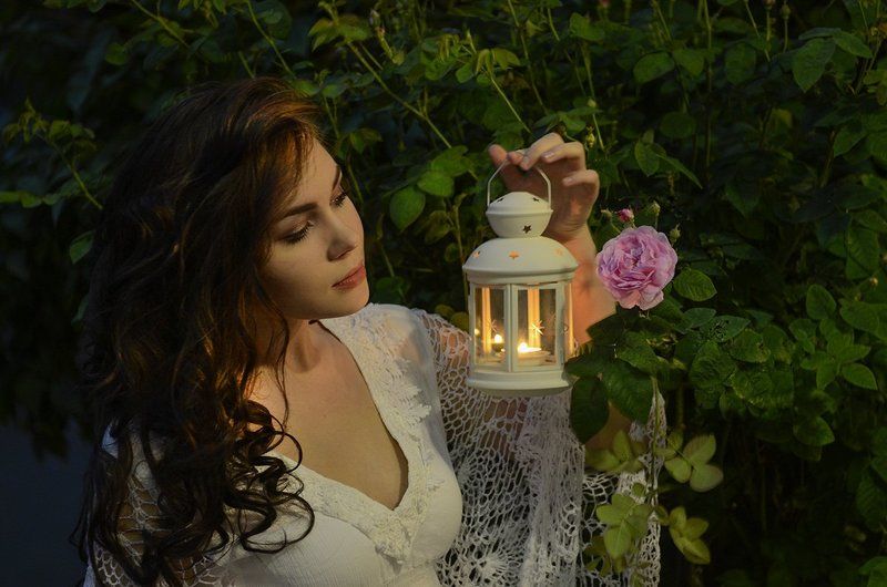 Тайна садовой розыphoto preview