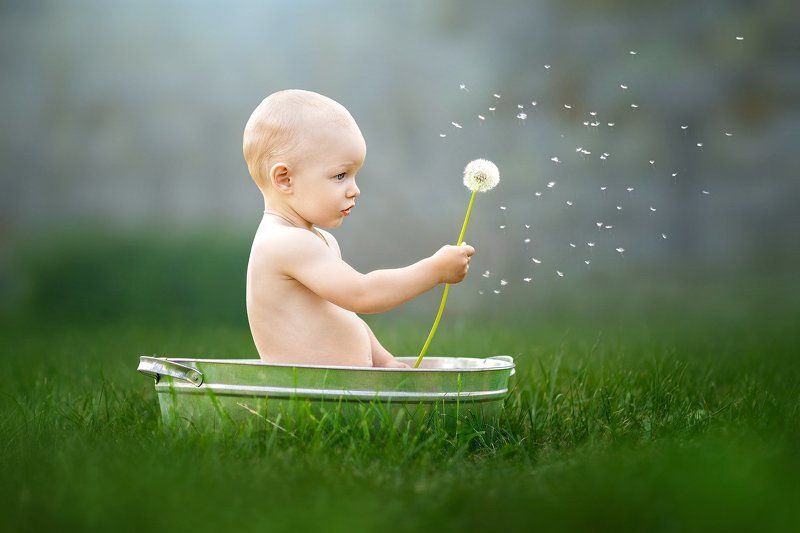 малыш мальчик семья дети ребенок любовь лето природа семья малышphoto preview