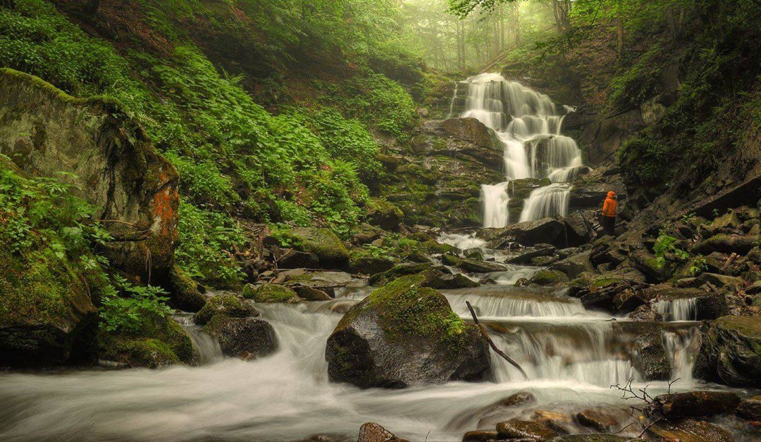 Слушая шепот Карпатских гор. Автор: Роман Рысь Водопад, Карпаты, Лес, Роман Рысь