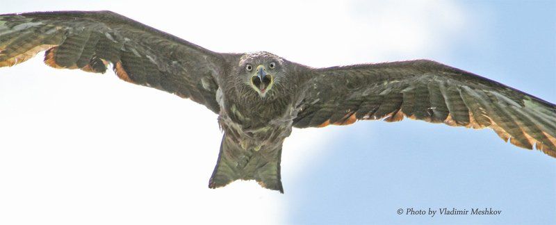 Это не Угроза. Это Атака! фото превью