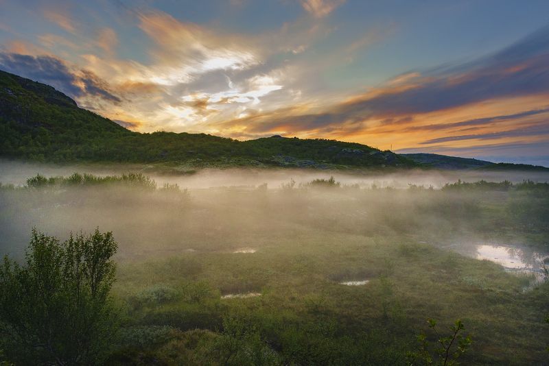 Териберка, кольский полуостров, туман, fog, рассвет Летние утро в Териберкеphoto preview