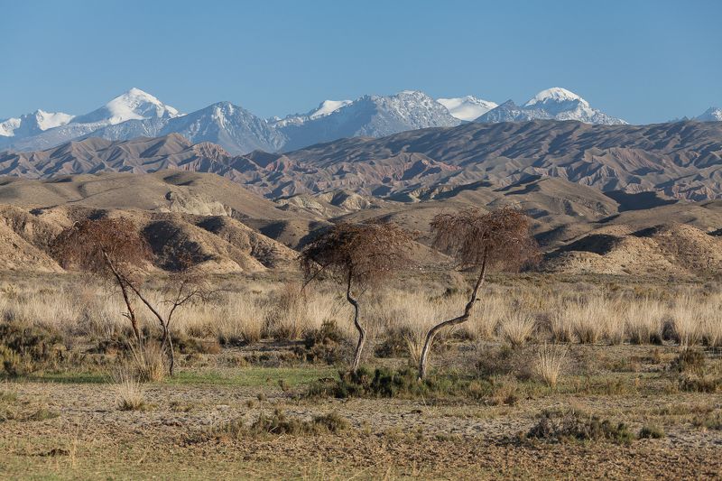 Сочетаниеphoto preview