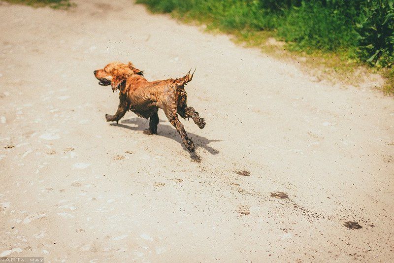 Щщастье))photo preview