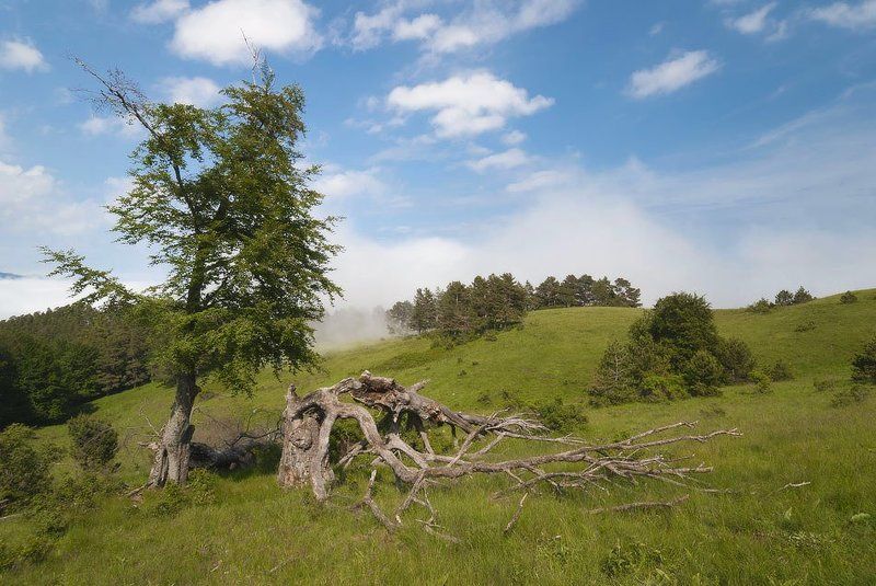 О Жизни и не очень о Ней...photo preview