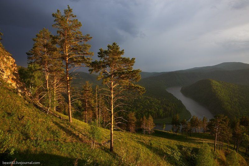 Мана Манская петляphoto preview