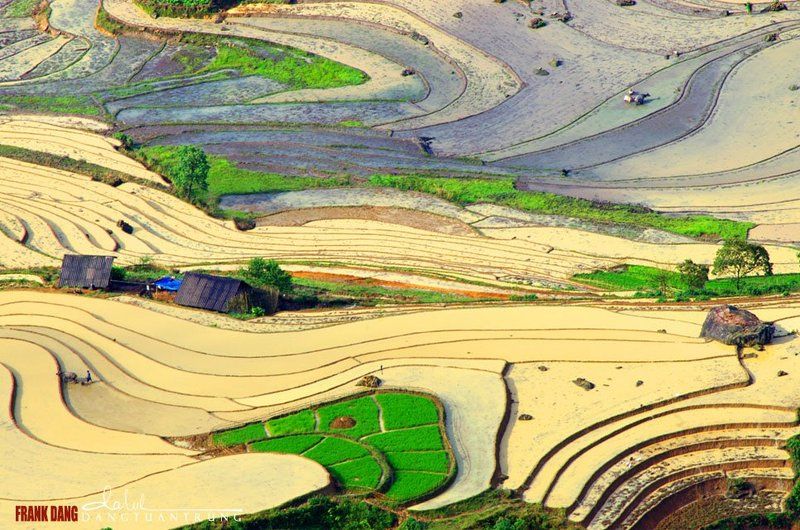 Dang Tuan Trung, Frank Dang Mayphoto preview