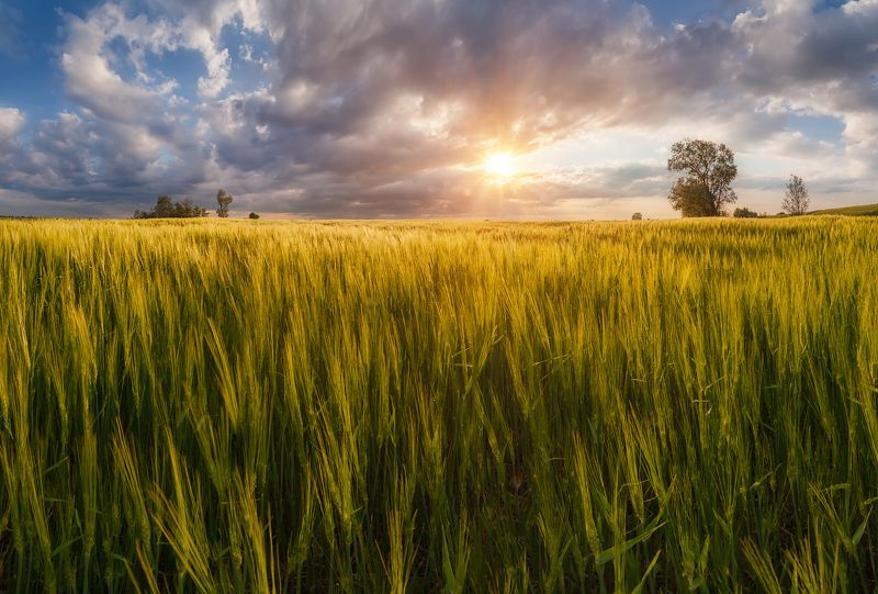 адыгея Закат в полях Адыгеиphoto preview