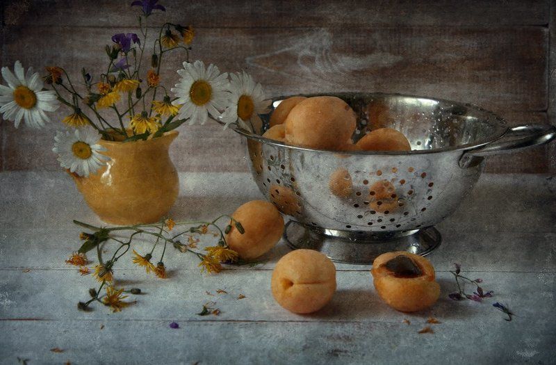 абрикосовое лето фото превью