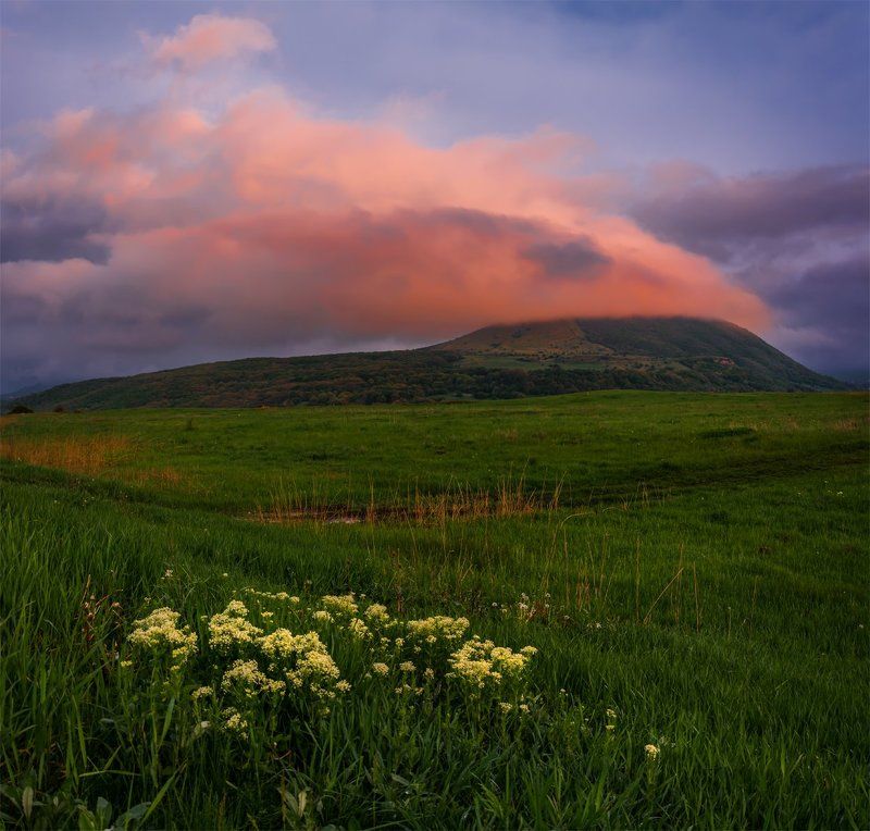 вечер, горы, закат, кавказ, пейзаж, природа, северный кавказ, цветы Джуцаphoto preview