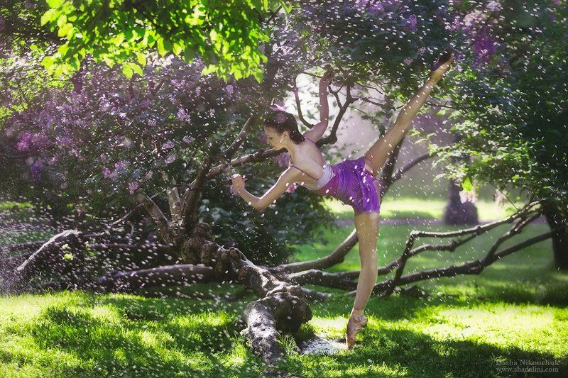 балет, балерина, танец, дождь in the rainphoto preview