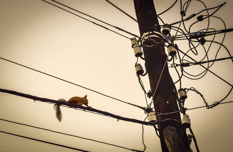 High Voltage!!!photo preview