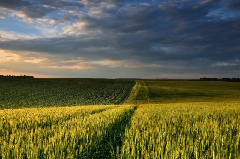 С последними лучамиphoto preview