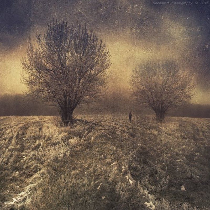 Location:Silence (Part.VII.)photo preview