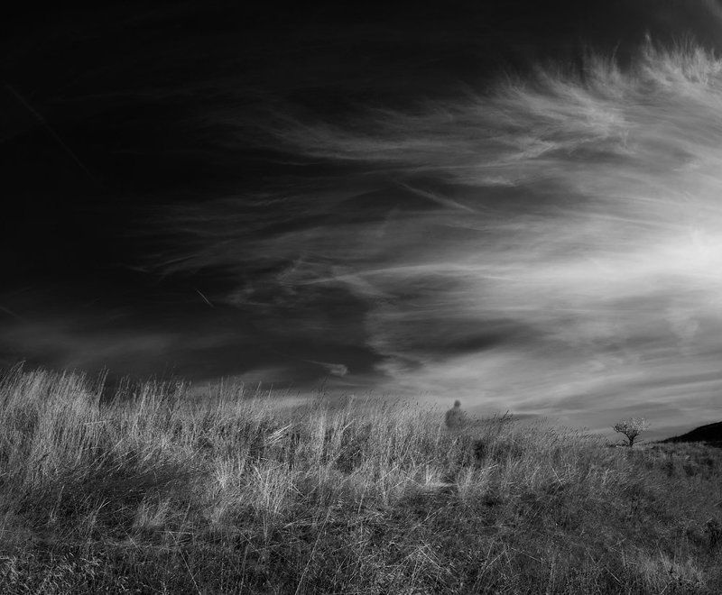 ..........the reasons blurred, the way unsure...............photo preview