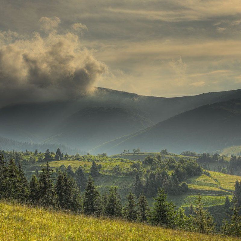 Горы, Карпаты, Лес, Небо, Равнины, Склоны, Тучи Дыханье Карпатphoto preview