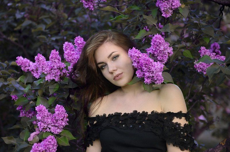 Сиреневое настроениеphoto preview