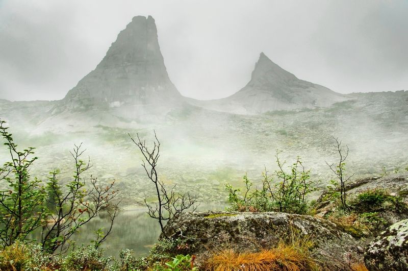 два братаphoto preview