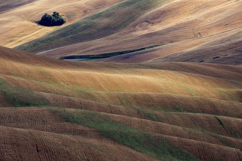 tuscany, landscape, nature Golden furrowsphoto preview