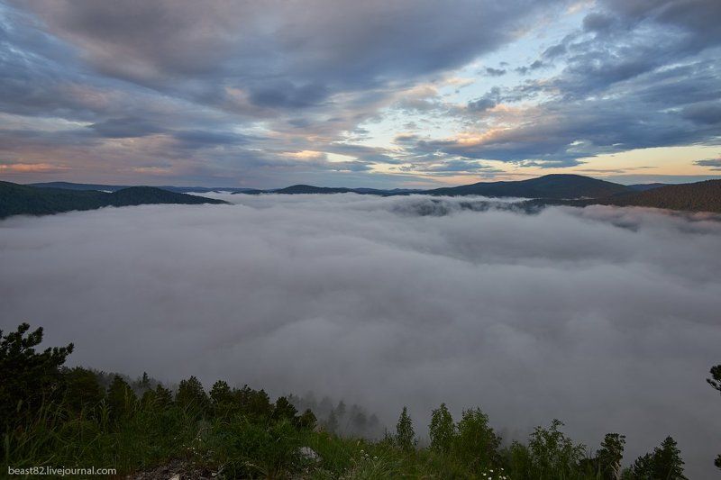 Мана Туманное утро на р. Манаphoto preview