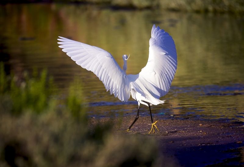 красота прилетелаphoto preview