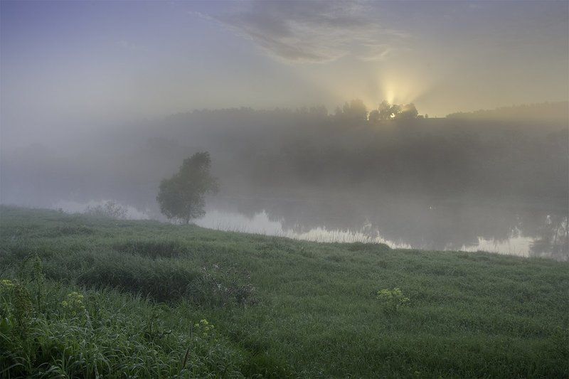 D3100, Nikon, Ока, Пейзаж, Природа, Рассвет, Река, Россия, Тульская область, Туман Пробуждение фото превью