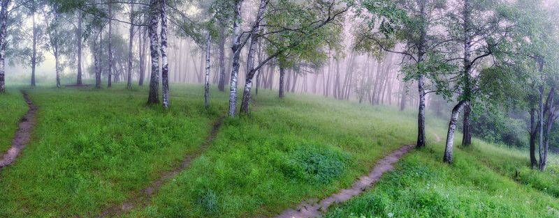 Июньское, дымчатое...photo preview