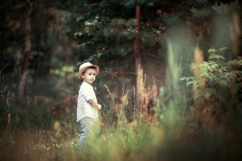 в лесуphoto preview