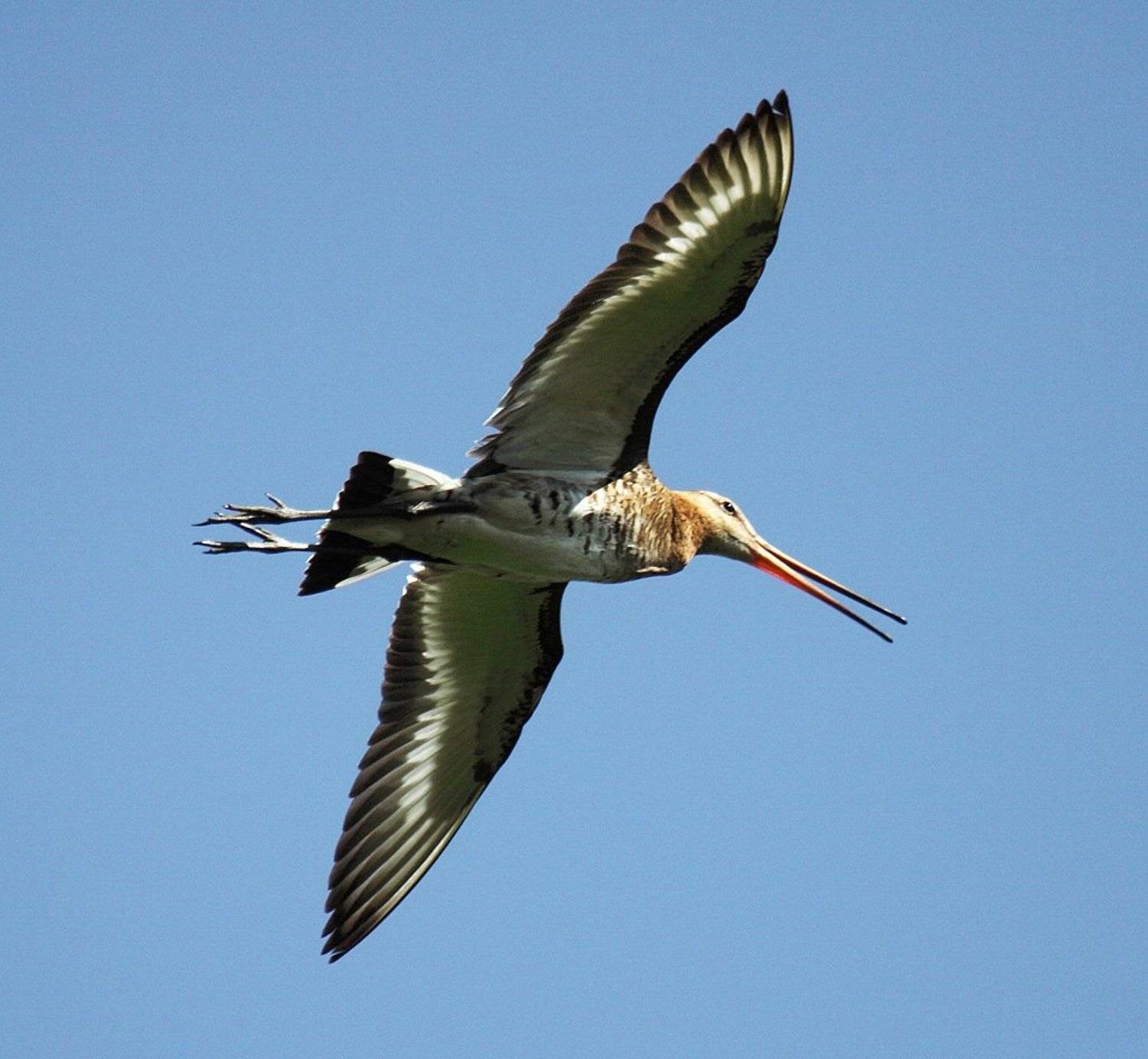 , Сергей Таланов