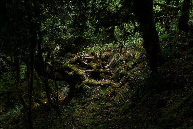 море абхазия горы небо пейзаж закат путешествия отдых  photo preview