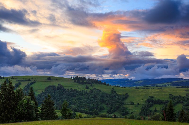 После дождяphoto preview