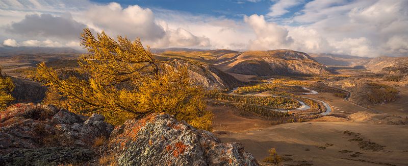 Всем ветрам назлоphoto preview