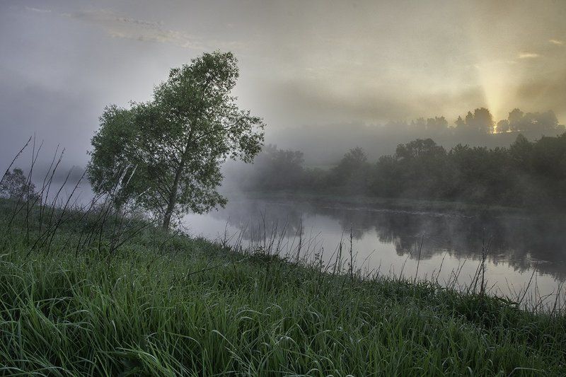2016, D3100, Nikon, Лето, Ока, Пейзаж, Природа, Рассвет, Река, Россия, Тульская область, Туман Утренняя сказка фото превью