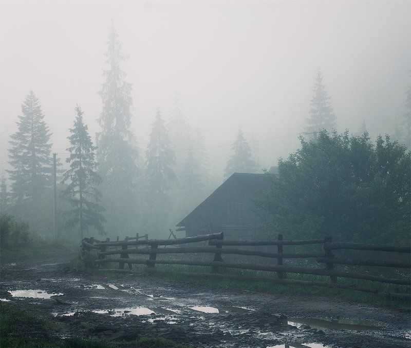 На проселочной дорогеphoto preview