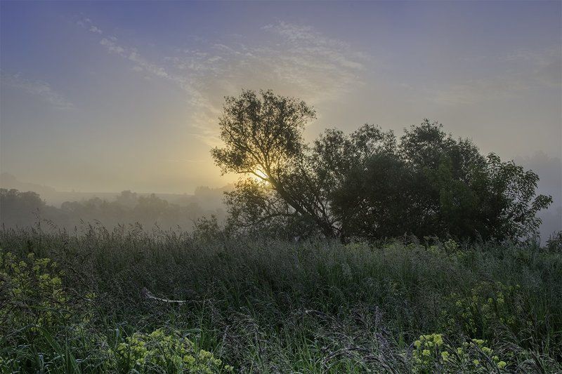 2016, D3100, Nikon, Июнь, Лето, Природа, Рассвет, Россия, Тульская область, Утро Утро фото превью